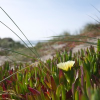 atmosfytestdb_110425j