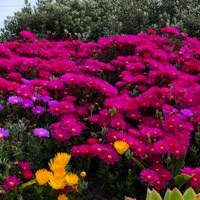 atmosfytestdb_110425f